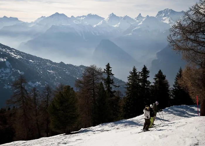 Konukevi De L Ours Authentic Etage Valerie 12 Pers Agettes